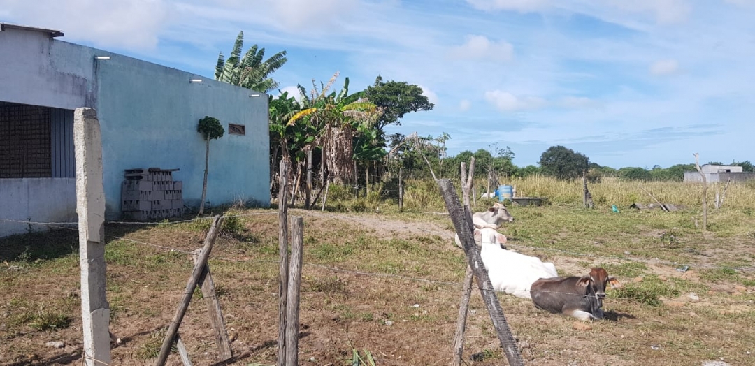 Terreno à venda - Foto 1