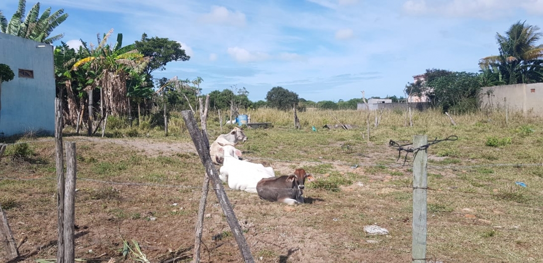 Terreno à venda - Foto 2