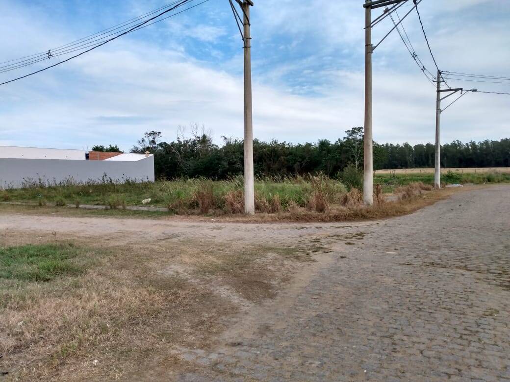 Terreno à venda - Foto 2