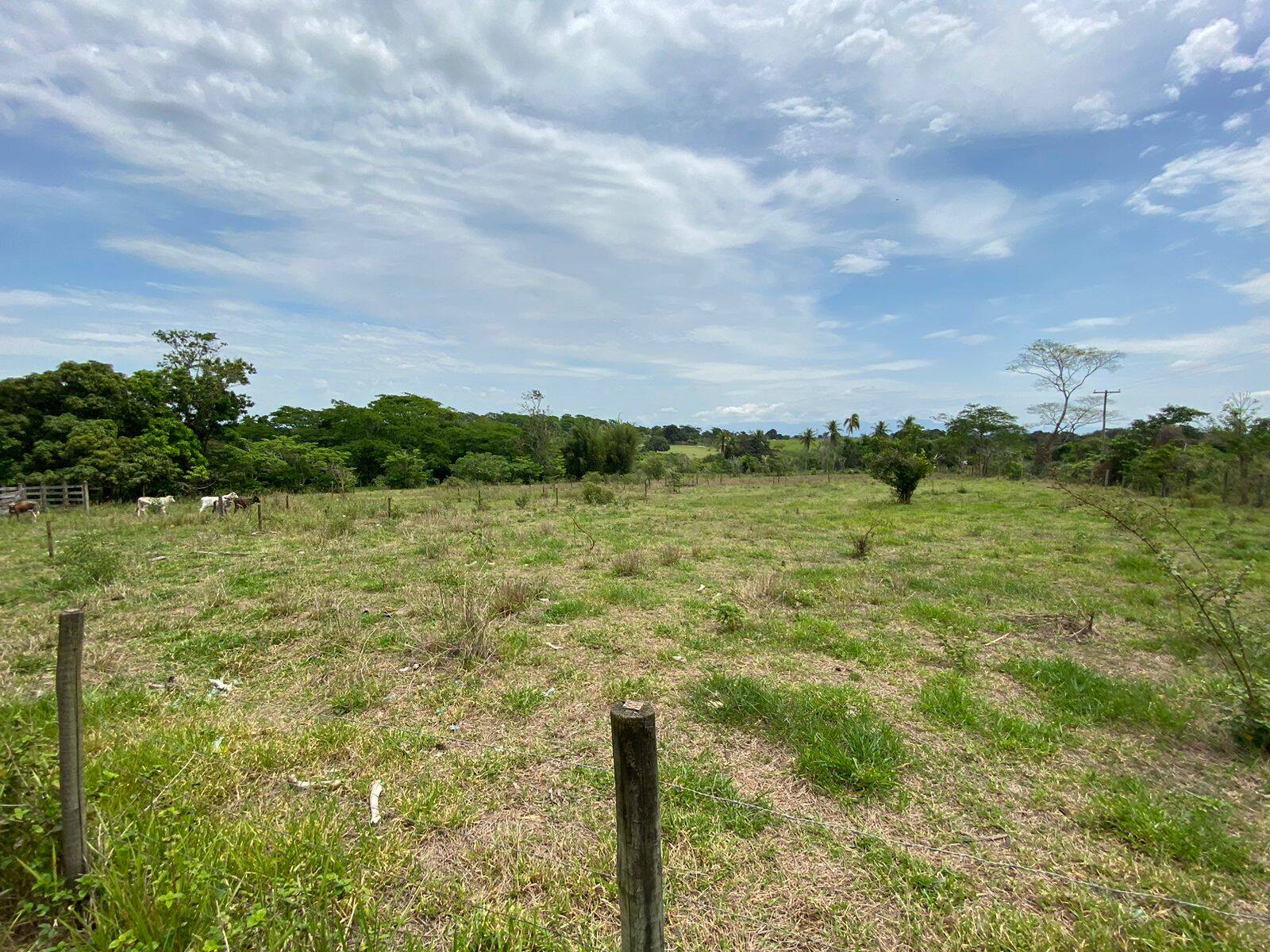 Terreno à venda - Foto 18