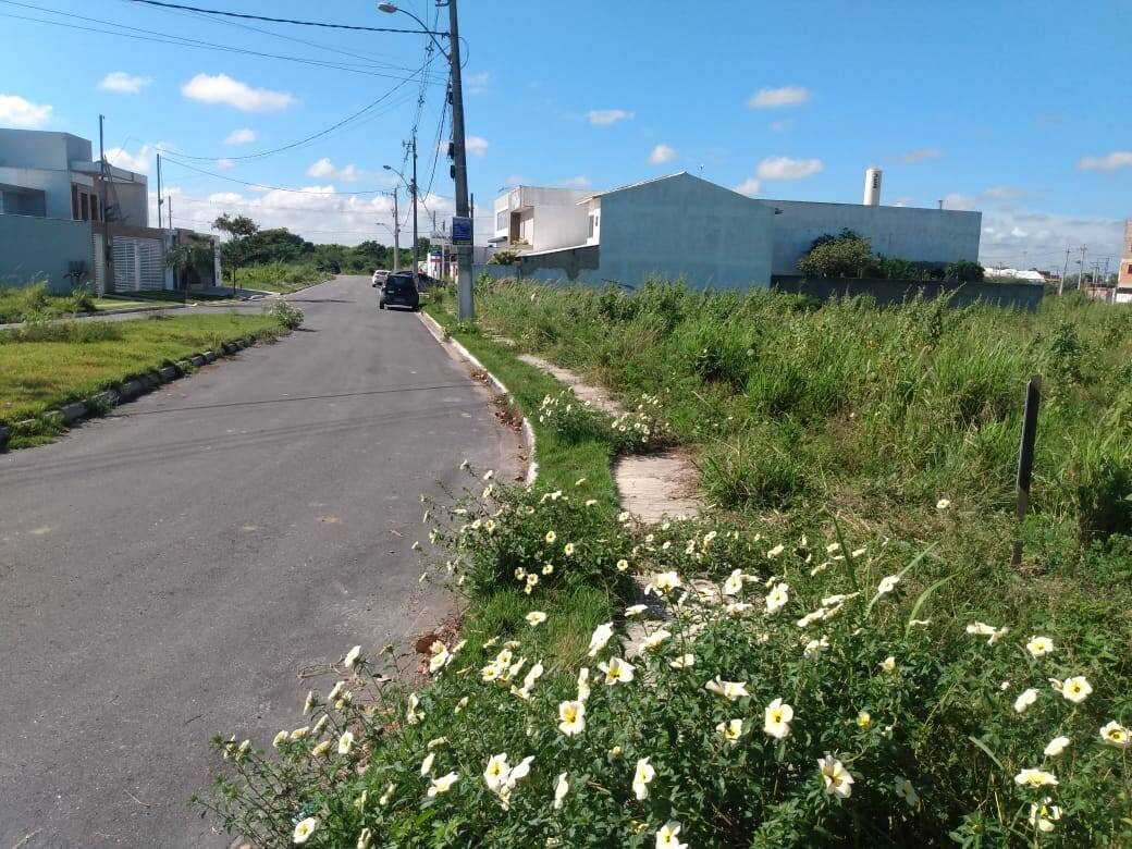 Terreno à venda - Foto 5