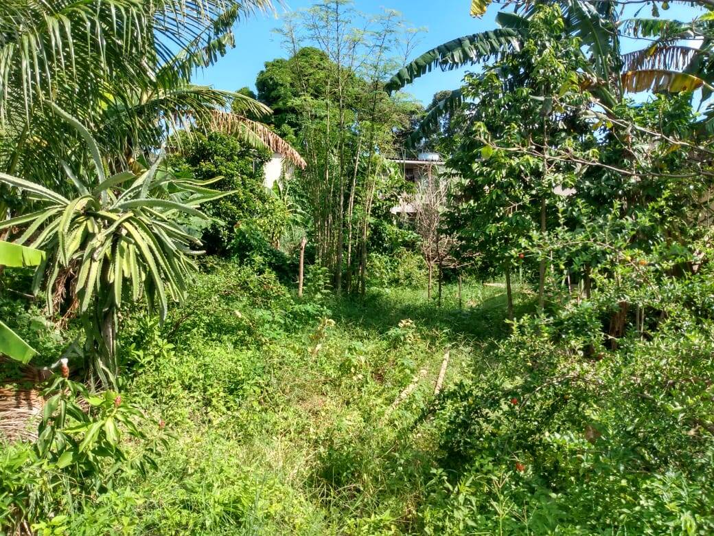 Terreno à venda - Foto 3